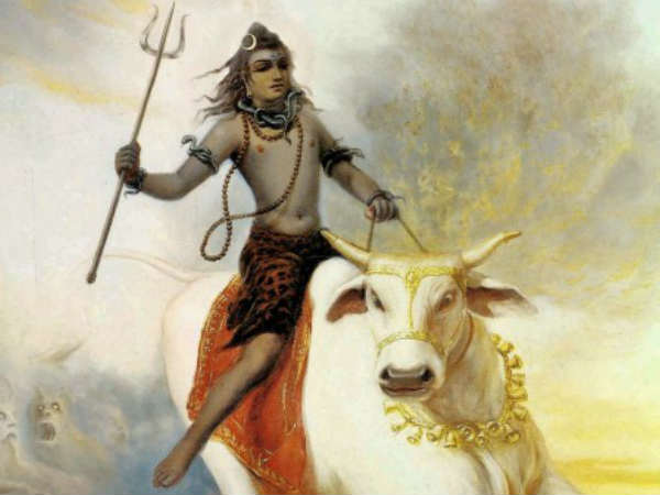 புலியின் அடையாளம்