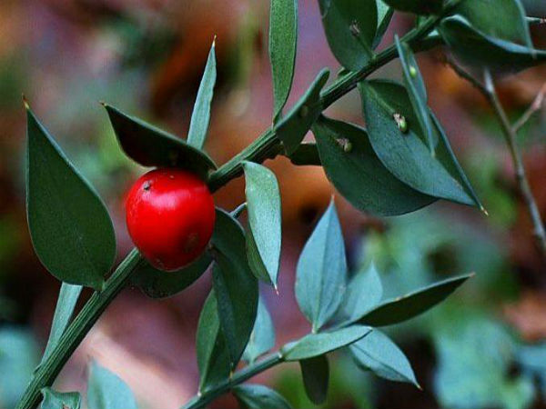 பக்க விளைவுகள்