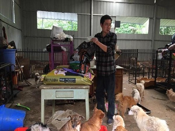 ஷாங் ஹை வாழ்க்கை 