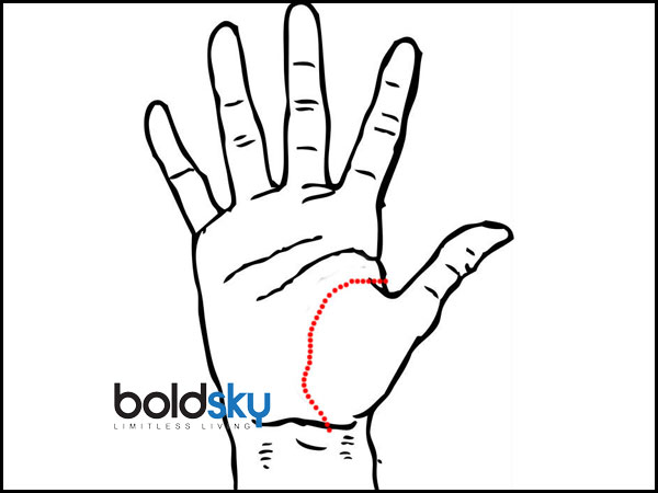 ஆயுள் ரேகை 