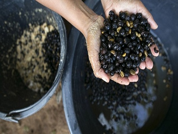 ஐடியா கிடைத்தது எப்படி?