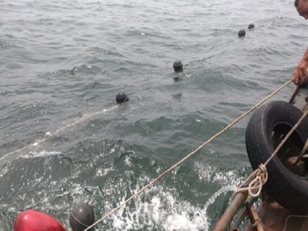 கடலையேவா?