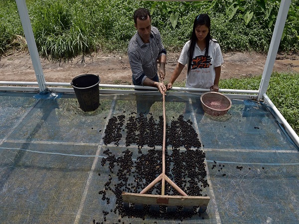 எங்கே தயாராகிறது?