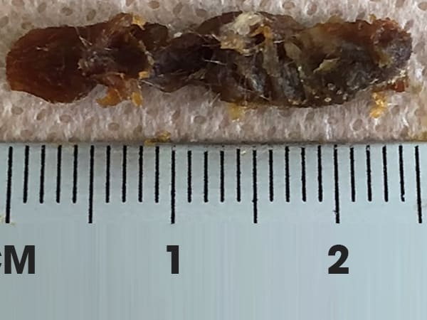  பெரிய அளவு ஏர் வேக்ஸ் 