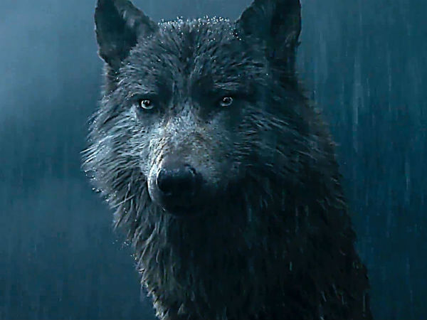 அக்டோபர் 28 - நவம்பர் 24