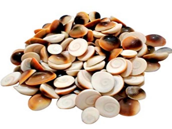  கண் திருஷ்டியில் இருந்து பாதுகாப்பு 