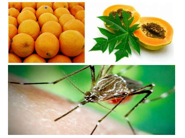 டெங்கு காய்ச்சலில் இருந்து குணமாக சிறந்த உணவுகள்