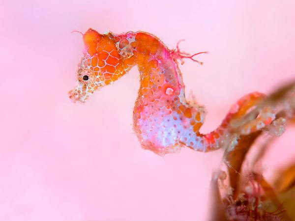 மே 13 - ஜூன் 9