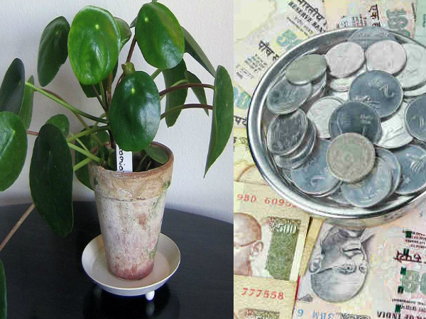 வீட்டின் உட்புறம்