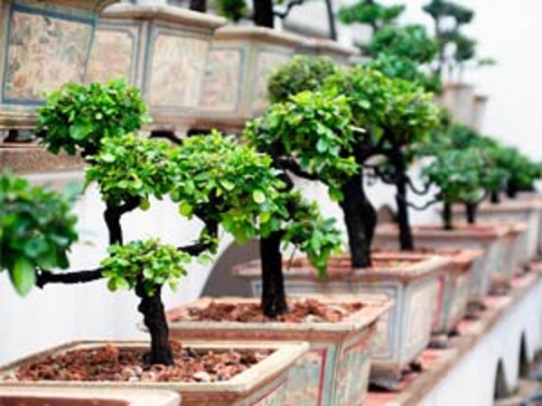 எப்போது எங்கே வைக்க வேண்டும்