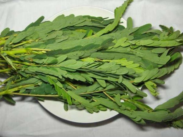 அகத்திக்கீரை தானம்