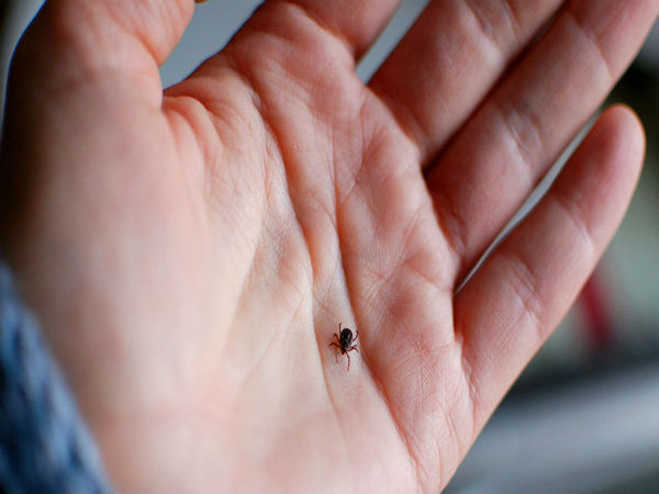 நோயைக் கண்டறிதல்