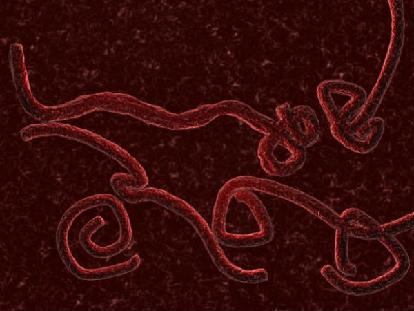 எச்சரிக்கை