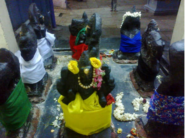 மீனத்திற்கு புதிய பதவி