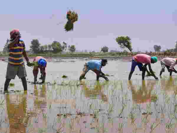 இரசாயனங்கள் இல்லை இரசாயனங்கள் இல்லை