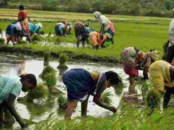 சுற்றுசூழலுக்கு நல்லது சுற்றுசூழலுக்கு நல்லது