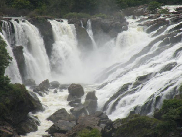 துள்ளிக்குதித்த பொன்னி