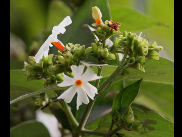 இதர நன்மைகள்