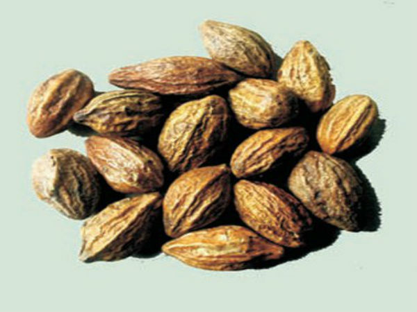 கடுக்காய்