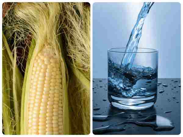 Why You Should Not Drink Water After Eating Corn Why You Should Not Drink Water After Eating Corn