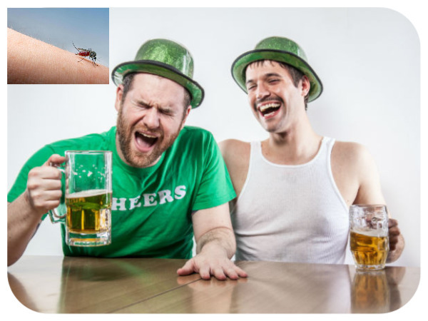 Mosquitoes Love Biting Beer Drinkers