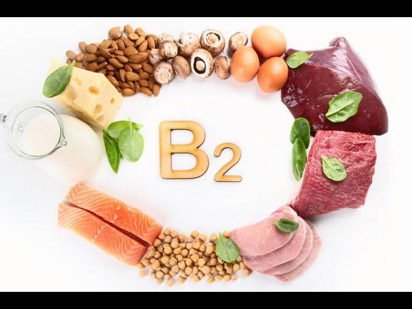 வைட்டமின் பி2 நிறைந்த உணவுகள்