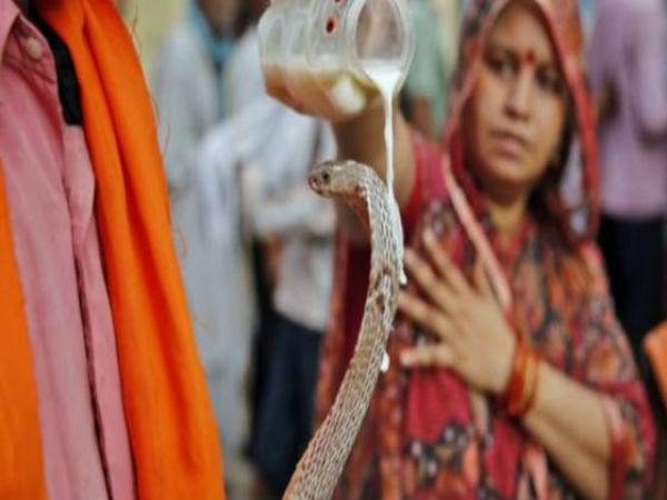 ராகு கேது தோஷங்கள்