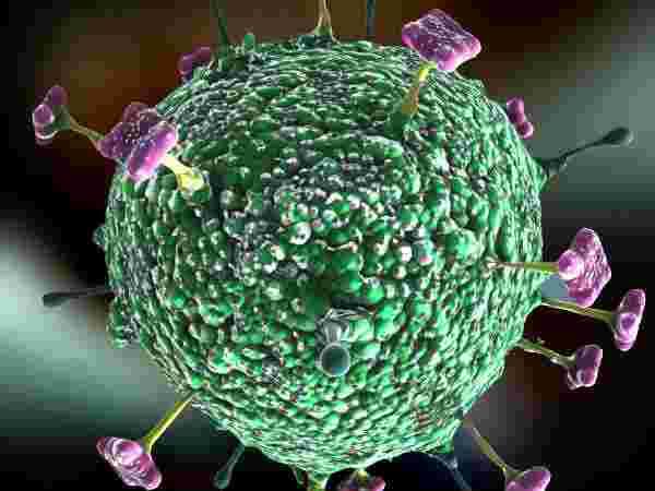 கொலாஜன் உற்பத்தியை அதிகரிக்கிறது 