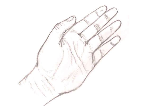  விரல்களில் கிரில் 