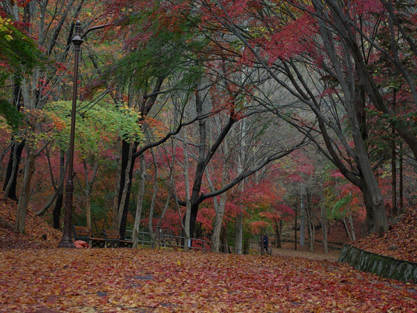 இலையுதிர் காலம்