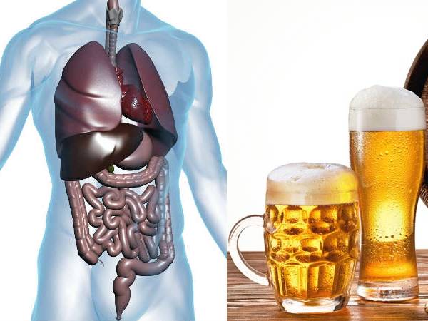 What Happens In Your Body 24 Hours After Drinking A Beer What Happens In Your Body 24 Hours After Drinking A Beer