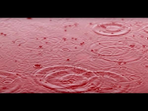 சிவப்பு மழை