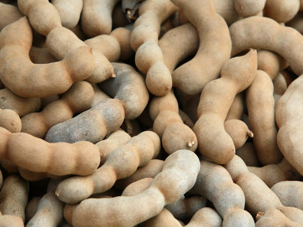 மலமிளக்கி