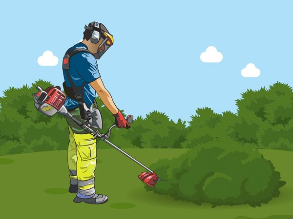 பூச்சிக்கொல்லிகள்