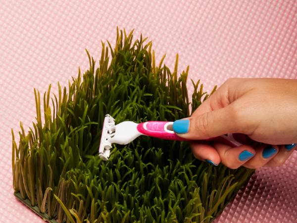 கட்டுக்கதை #9: அந்தரங்க பகுதியில் உள்ள முடியை ஷேவ் செய்தால் புதர் போன்று வளரும்.