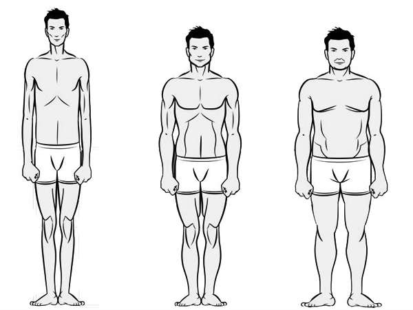 வாதம், பித்தம், கபம் 
