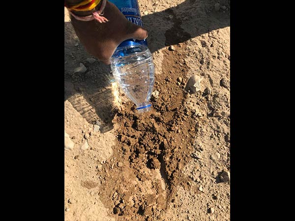 பயணத் தகவல்கள்