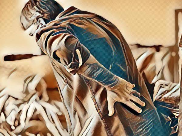 கோக்ஸிஸ் மார்ஃபாலாஜி 