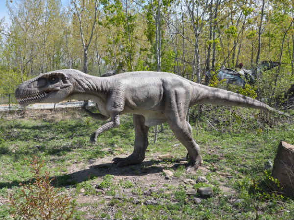 பல டைனோசர்கள் மனித அளவில் இருந்தது