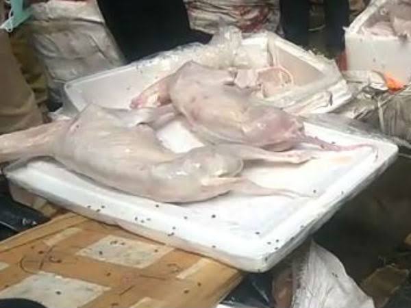  நாய் கறி 