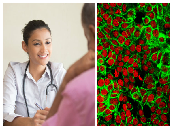 கொரோனா வைரஸ் கண்டுபிடிப்பு