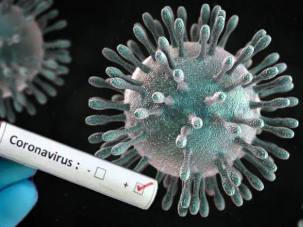 நோய்களும் மருந்தும்