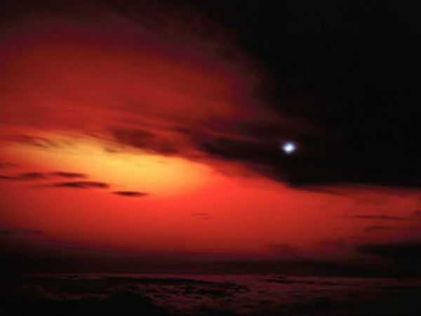 ஸ்டார்ஃபிஷ் பிரைம்