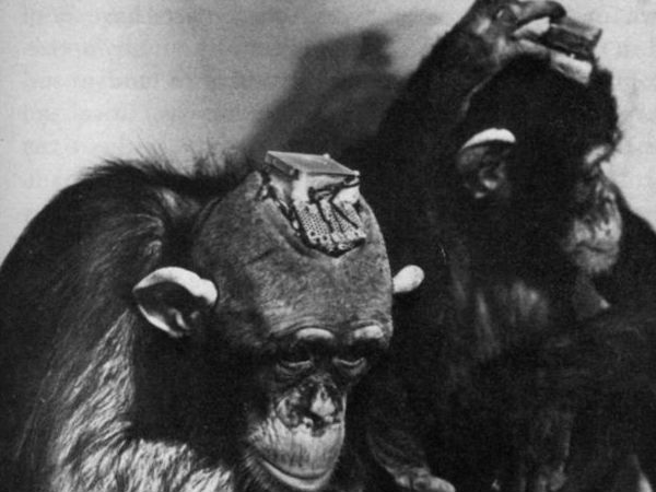 மனதைக் கட்டுப்படுத்துதல்