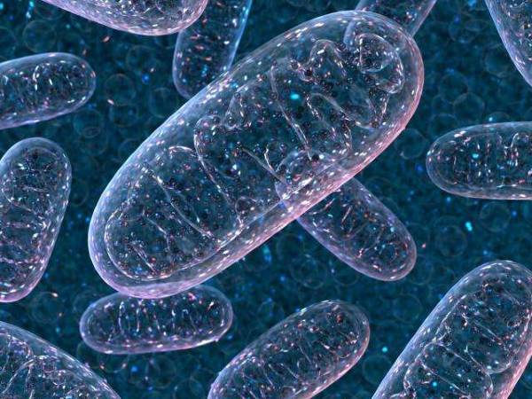 முடிவுரை