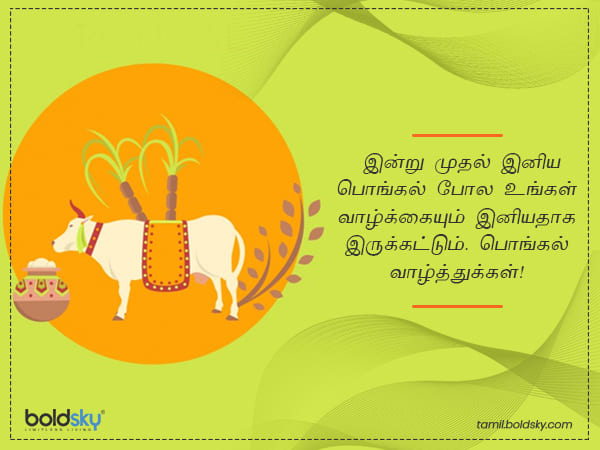 மகிழ்ச்சி வெள்ளம்