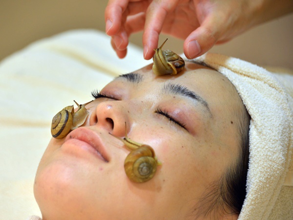 நத்தையின் சேறு 