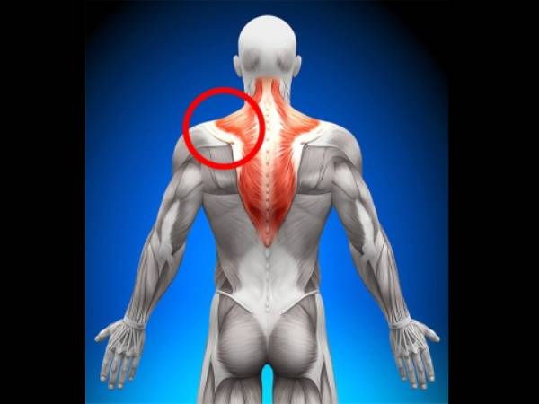 கழுத்தும் தோள்பட்டையும் சந்திக்கும் பகுதி