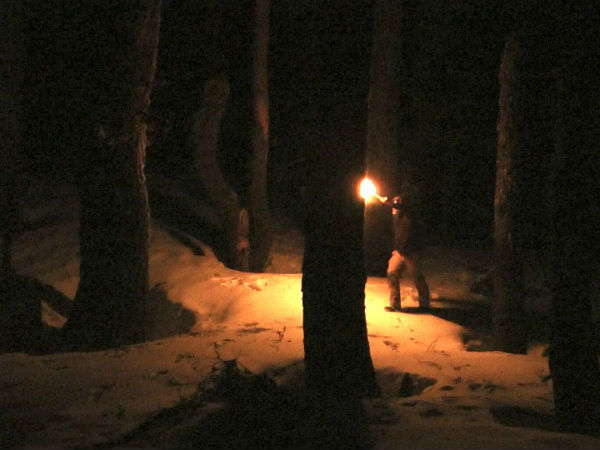 ஐரோப்பிய விலங்கு