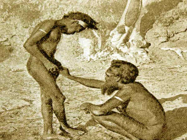 பெடரஸ்டி